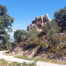 Les dents du youki