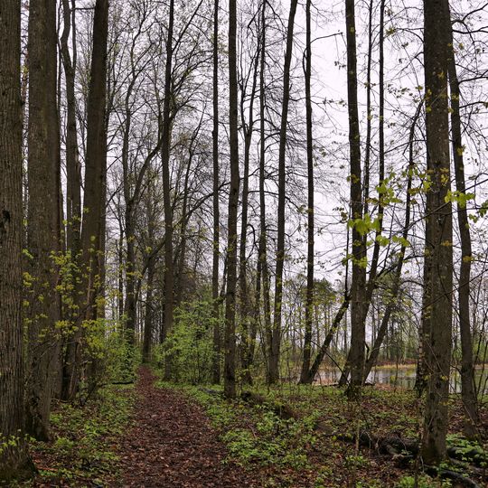 Парк с прудами