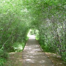 Norrie Park