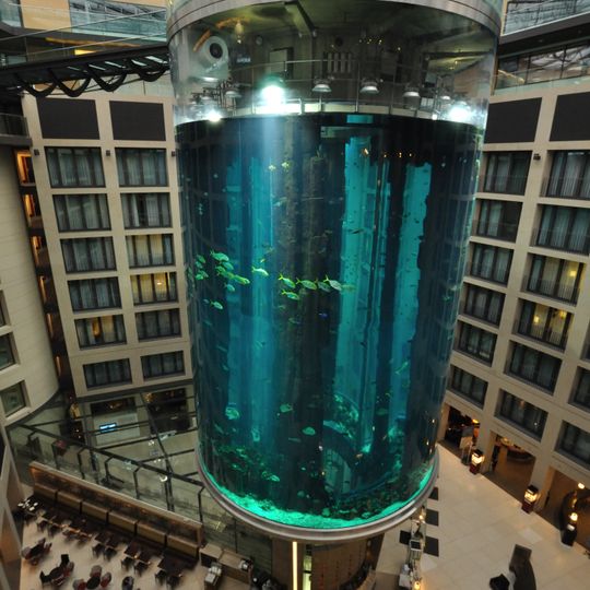 AquaDom