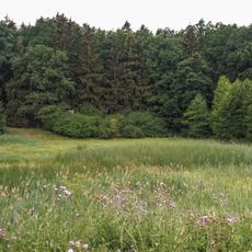 Červená Třemešná - rybník