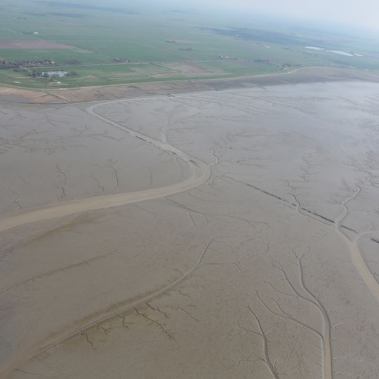 Dollart