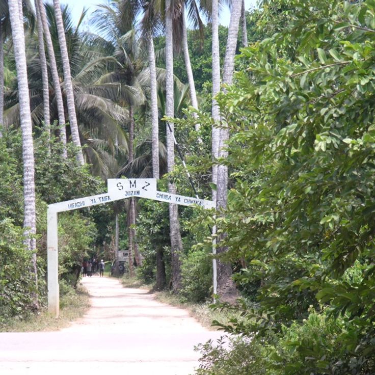 Jozani Chwaka Bay nasjonalpark