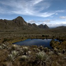 Páramo de Sumapaz
