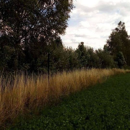 Kříž jihovýchodně od Drunčí