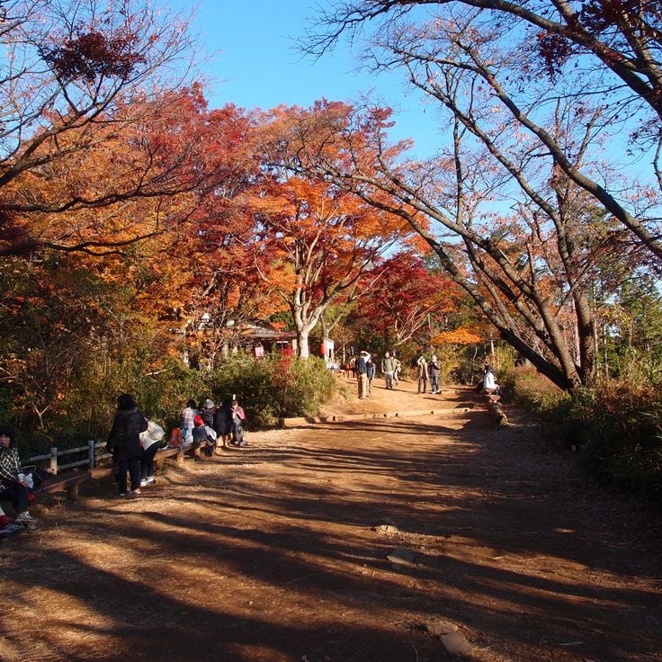 Gunung Takao