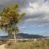 Castellar del Vallès