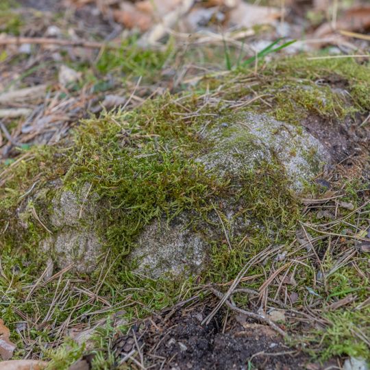 Grenzstein Untere Gemeinde in Fürth
