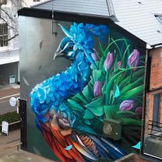 Proud Peacock, Bahar Floeers