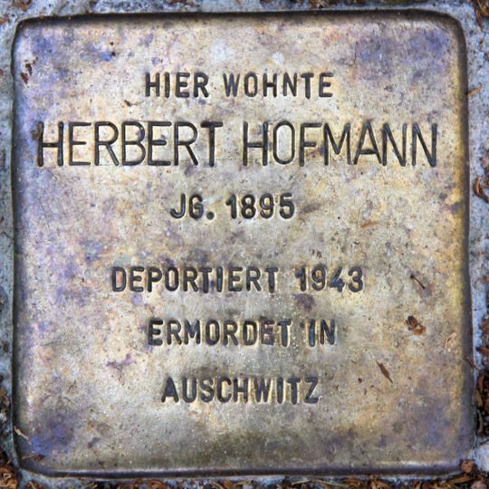 Stolperstein en memoria de Herbert Hofmann