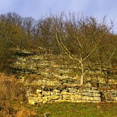 Burgberg