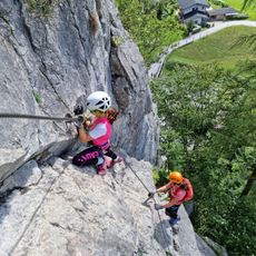 Via ferrata tame goat