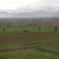 Baraki Barak (Distrikt)