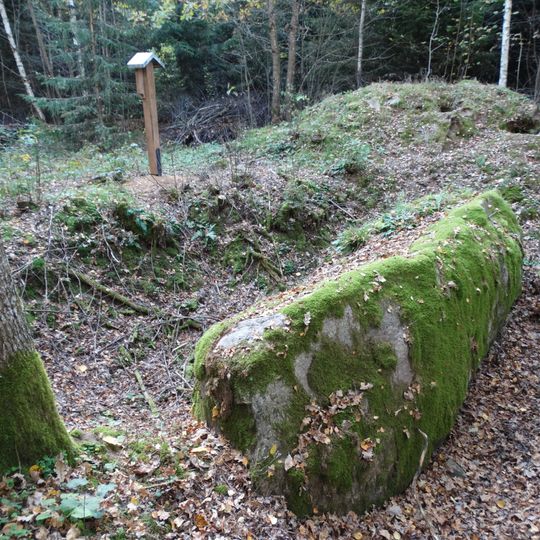 Vizgaudziai boulder "The Coffin"