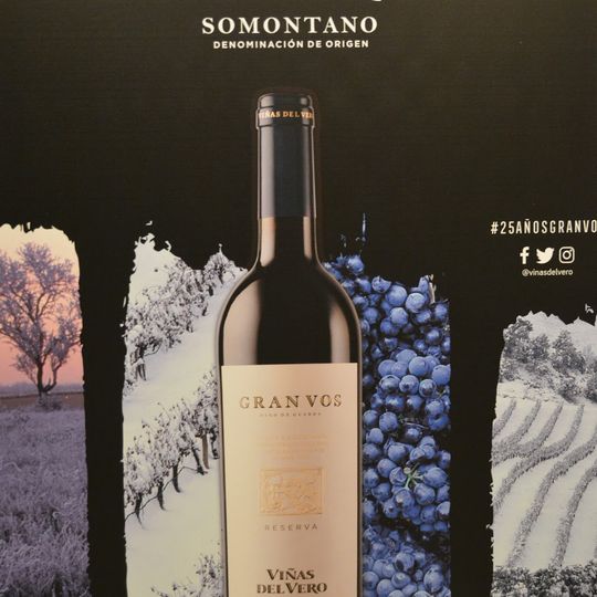Bodegas Viñas del Vero