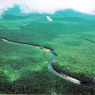 Delta del Orinoco National Park