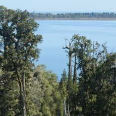 Lake Māhinapua Scenic Reserve