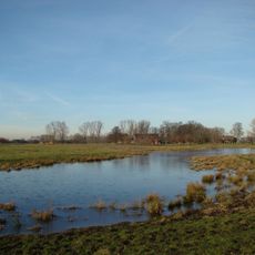 Punto di vista panoramico