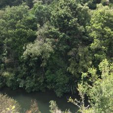 Paengaroa Scenic Reserve
