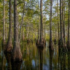 Big Cypress National Preserve