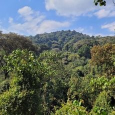 Kibira National Park