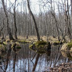 Schorfheide-Chorin Biosphere Reserve