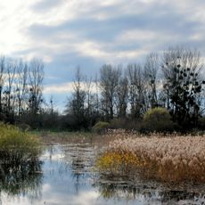 Réserve naturelle nationale de l'île du Girard