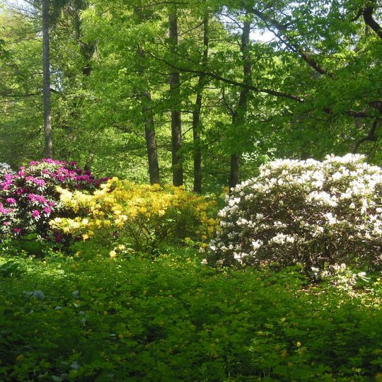 Schloss und Azaleen- und Rhododendronpark Kromlau Altes Schloß 11