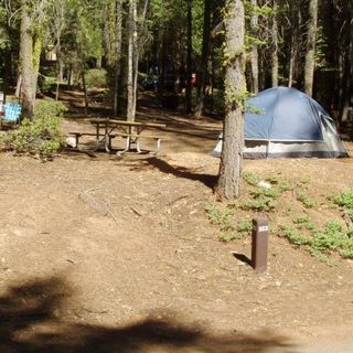 Crane Flat Campground