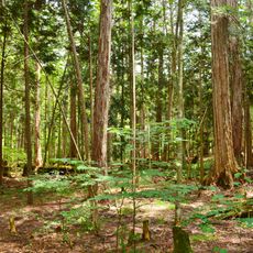 Akasawa Natural Recreational Forest
