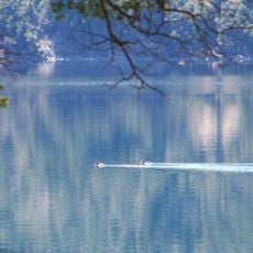 Lago Moquehue
