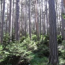 Befestigte Höhensiedlung Burgstall