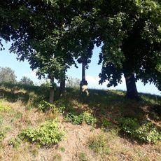 Kříž severně od Přáslavic