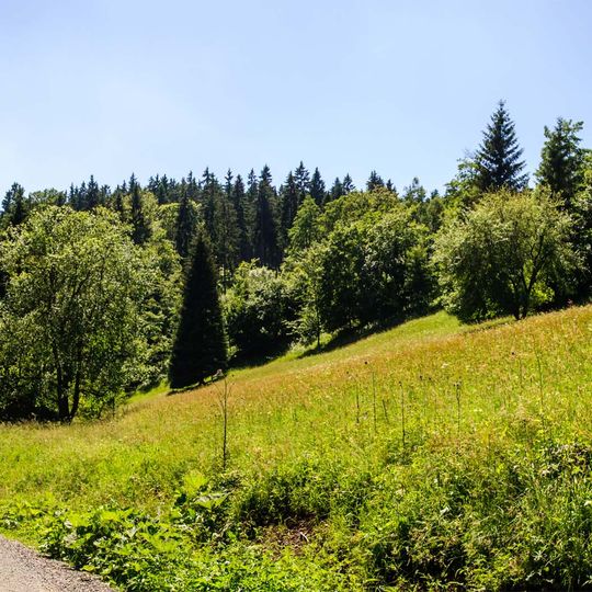 Bergwiesen und Wolfsbachtal bei Hohegeiß