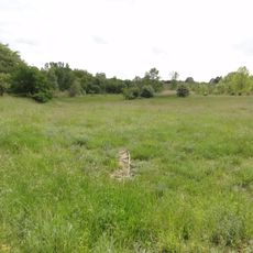 Sandgrube am Weilersberg