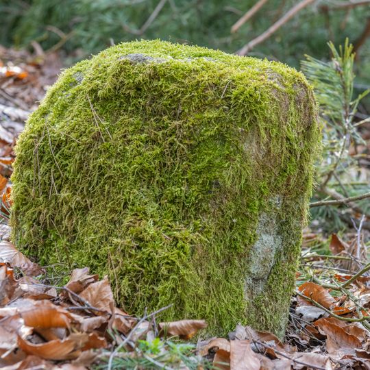 Grenzstein Untere Gemeinde in Fürth