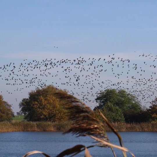 Fischteiche Blumberger Mühle