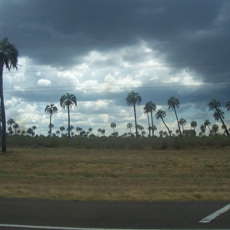 El Palmar National Park