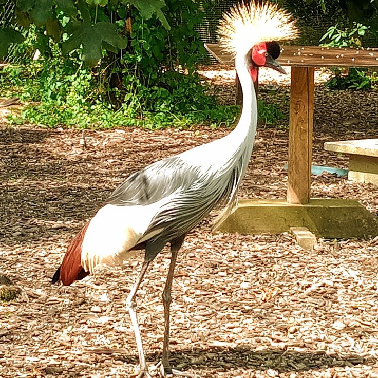 The Refuge de l'Arche