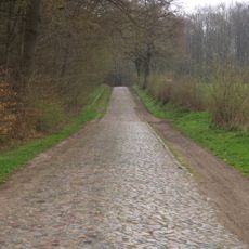 Pflasterstraße durch die Hahnheide