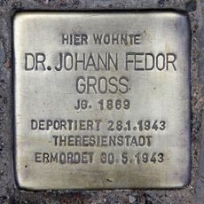 Stolperstein dedicated to Dr. med. Johann Fedor Gross