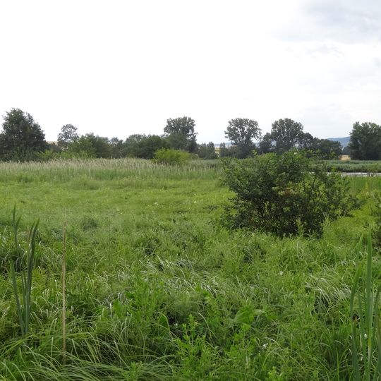 Naturschutzgebiet Klosterwiesen von Rockenberg