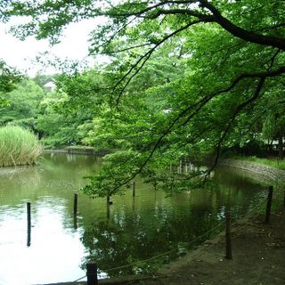 Zenpukuji Park