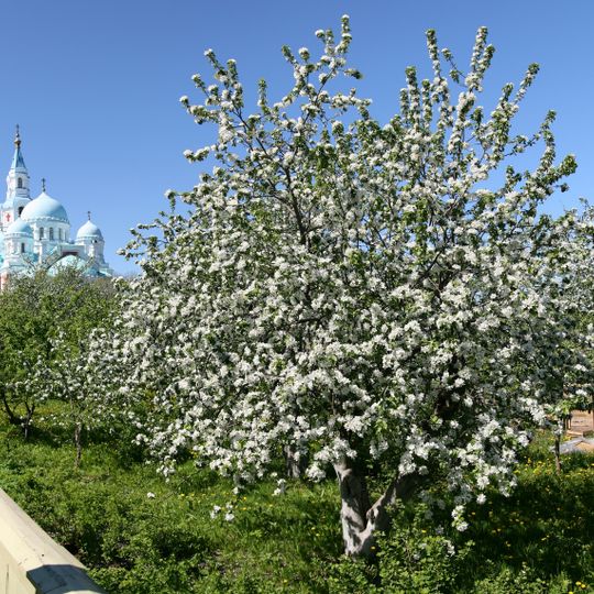 Upper garden, Valaam