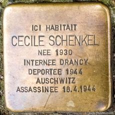 Cécile Schenkel