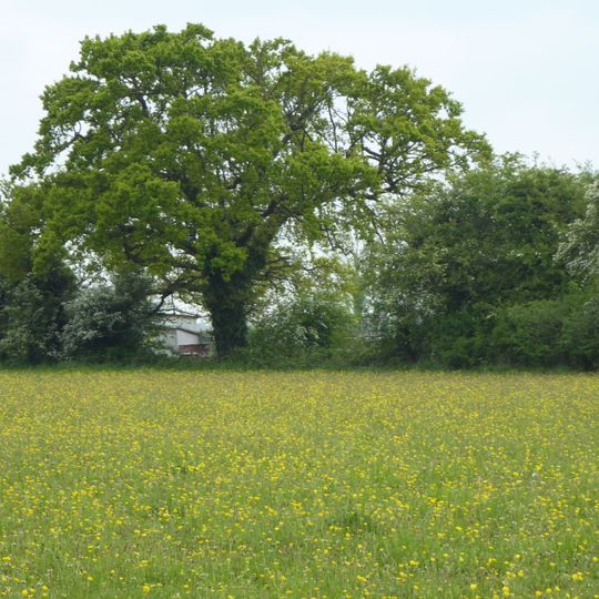 Laurel Farm Meadow