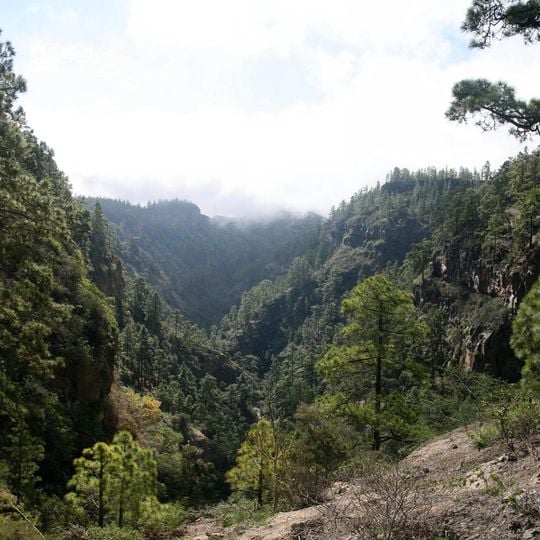 Reserva natural especial del Barranco del Infierno