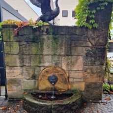 Flügel schlagender Schwan auf Steinmauer