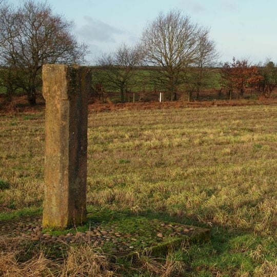 Forest Stone, Lyndhurst