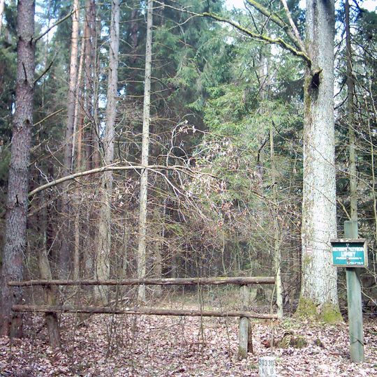 Rezerwat przyrody Lipiny